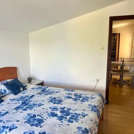 Lidija Karin Donji Apartman Donji Karin
