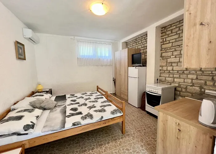 Lidija Karin Donji *