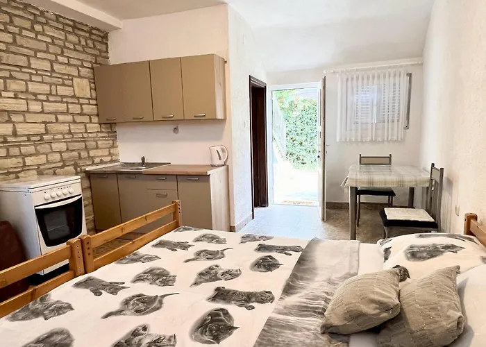 Lidija Karin Donji Donji Karin