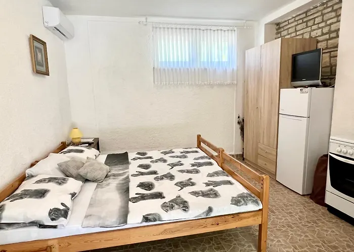 Lidija Karin Donji Apartmán *
