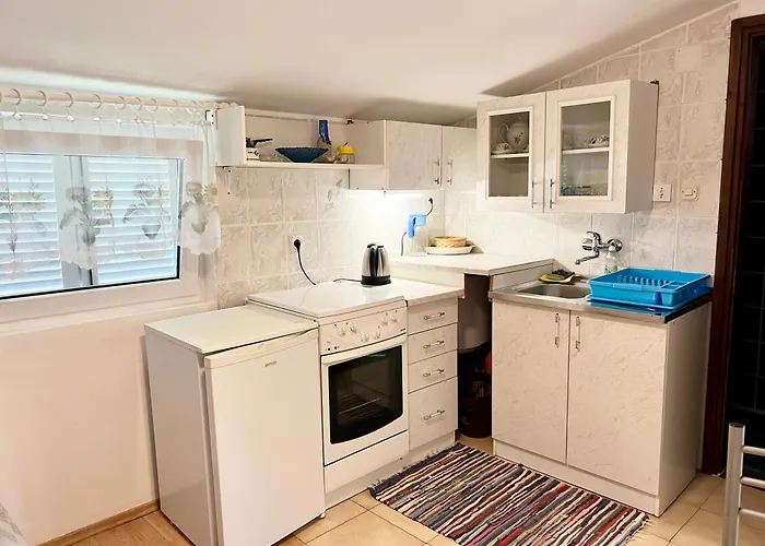 Lidija Karin Donji Donji Karin