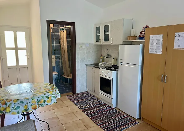 Lidija Karin Donji *