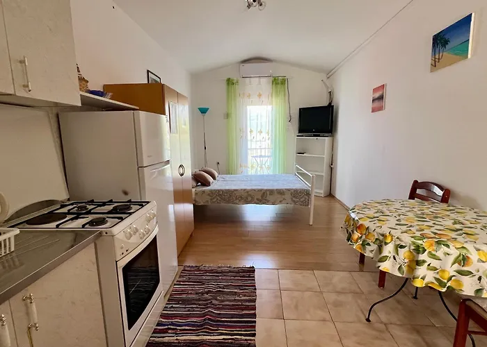 Lidija Karin Donji Donji Karin